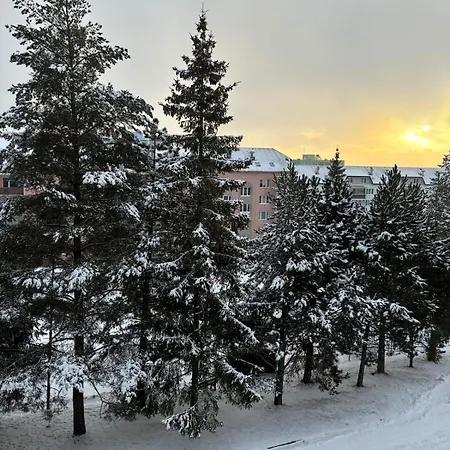 Small In The Heart Of High Tatras Apartment Strba